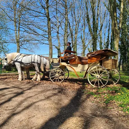 Bed & Breakfast Le Chateau Des Reves De Fresnel La Ferté-Frênel