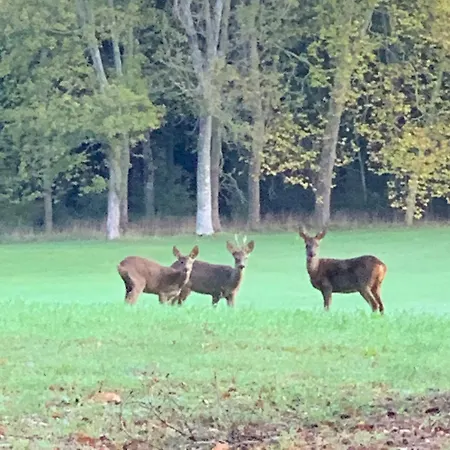 Bed & Breakfast Le Château Des Rêves De Fresnel