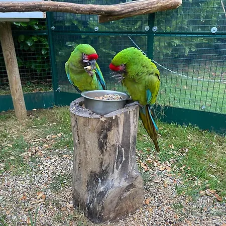 Le Château Des Rêves De Fresnel *