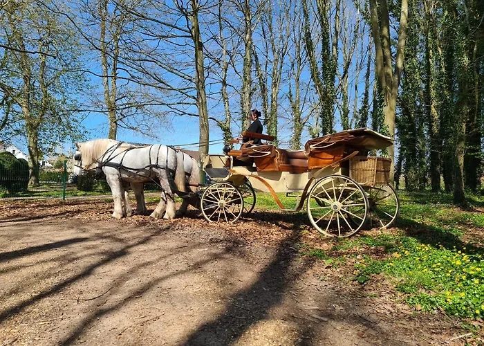 Bed & Breakfast Le Chateau Des Reves De Fresnel La Ferté-Frênel