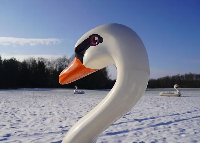 Le Chateau Des Reves De Fresnel * La Ferté-Frênel
