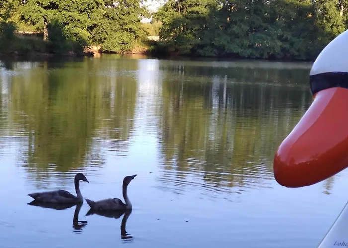 Bed & Breakfast Le Chateau Des Reves De Fresnel