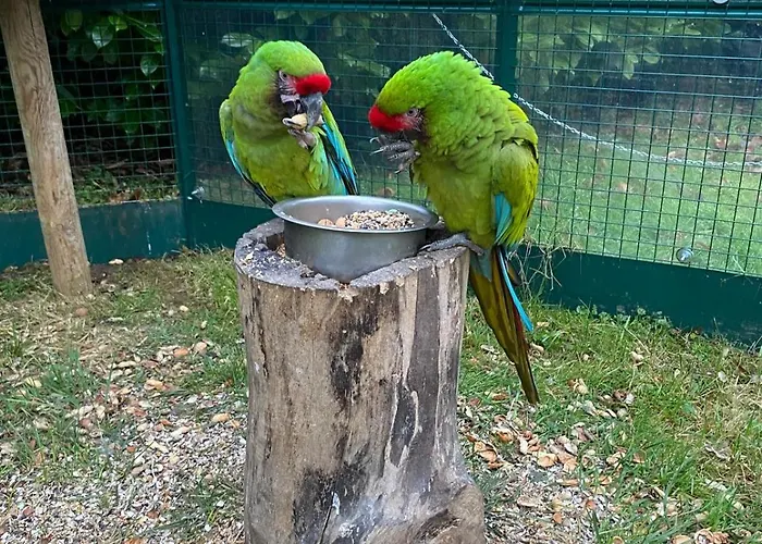 Le Chateau Des Reves De Fresnel *